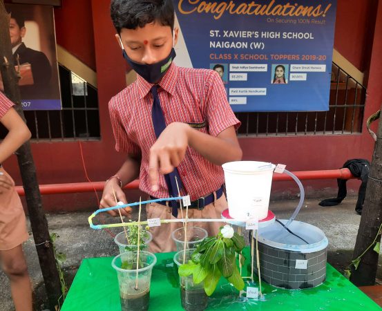 Science Project