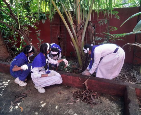 Cleanliness Activity